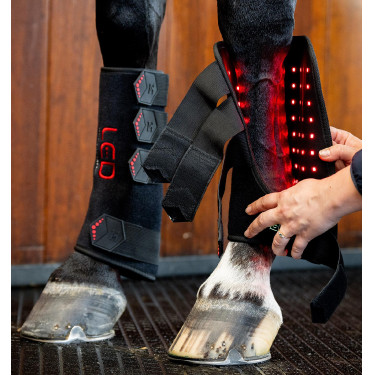 Gueteras de terapia Horseware con luz roja LED Negro / negro Gueteras de terapia Horseware con luz roja LED Negro / negro