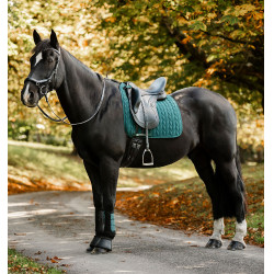 Mantilla de doma Horseware para equitación | EQUI-CLIC Mantilla de doma Horseware para equitación | EQUI-CLIC