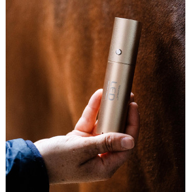 Estilete terapia LED roja Horseware para equinos