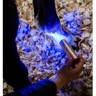 Estilete terapia LED roja Horseware para equinos