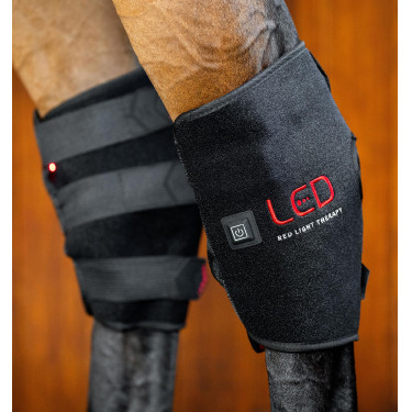 Protector de corvejón de terapia Horseware con luz roja LED Negro / negro Protector de corvejón de terapia Horseware con luz roja LED Negro / negro
