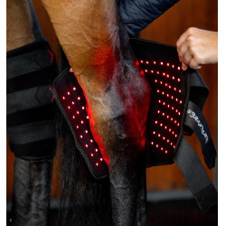 Protector de corvejón de terapia Horseware con luz roja LED Negro / negro Protector de corvejón de terapia Horseware con luz roja LED Negro / negro