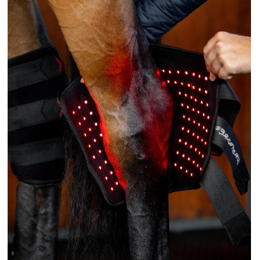 Protector de corvejón de terapia Horseware con luz roja LED Negro / negro Protector de corvejón de terapia Horseware con luz roja LED Negro / negro