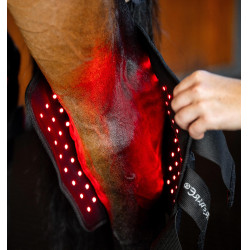 Protector de corvejón de terapia Horseware con luz roja LED Negro / negro Protector de corvejón de terapia Horseware con luz roja LED Negro / negro