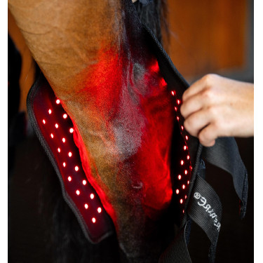 Protector de corvejón de terapia Horseware con luz roja LED Negro / negro Protector de corvejón de terapia Horseware con luz roja LED Negro / negro