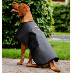 Manta terapéutica LED para perro Horseware – equitación