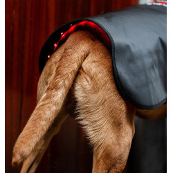 Manta terapéutica LED para perro Horseware – equitación