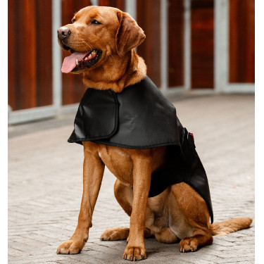 Manta terapéutica LED para perro Horseware – equitación