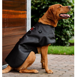 Manta terapéutica LED para perro Horseware – equitación