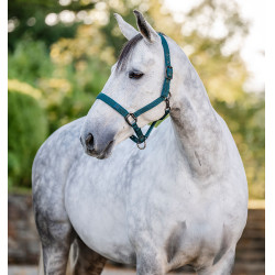 Cabezada y ramal Horseware Verde dinastía Cabezada y ramal Horseware Verde dinastía