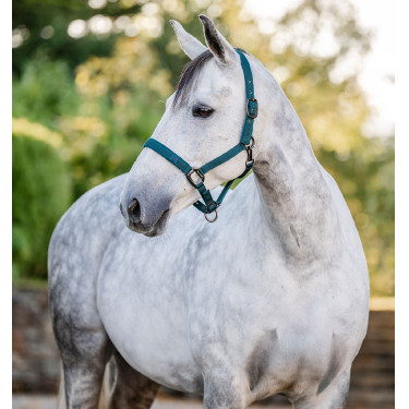 Cabezada y ramal Horseware Verde dinastía Cabezada y ramal Horseware Verde dinastía