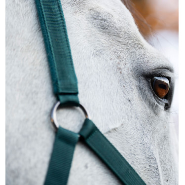 Cabezada y ramal Horseware Verde dinastía Cabezada y ramal Horseware Verde dinastía