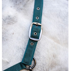 Cabezada y ramal Horseware Verde dinastía Cabezada y ramal Horseware Verde dinastía