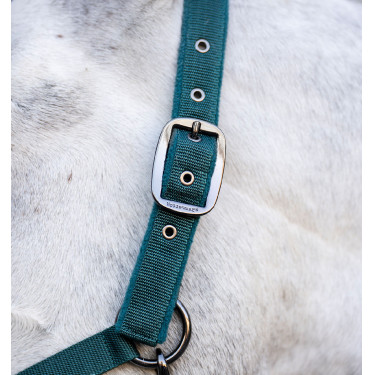 Cabezada y ramal Horseware Verde dinastía Cabezada y ramal Horseware Verde dinastía