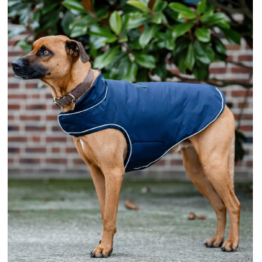 Impermeable para perro 100 g Horseware – equitación