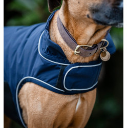 Impermeable para perro 100 g Horseware – equitación
