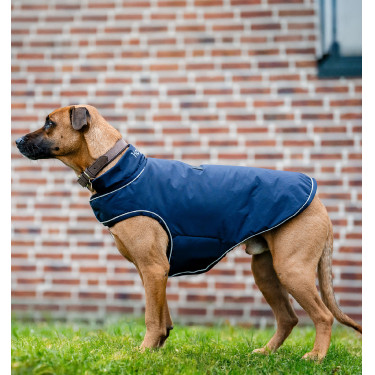 Impermeable para perro 100 g Horseware – equitación
