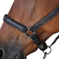 Cabezada De Cuadra Canter Negro Cabezada De Cuadra Canter Negro