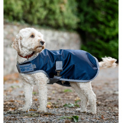 Manta terapéutica para perro Horseware Ionic 50 g Azul imperial / plateado y marino Manta terapéutica para perro Horseware Ionic 50 g Azul imperial / plateado y marino