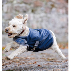Manta terapéutica para perro Horseware Ionic 50 g Azul imperial / plateado y marino Manta terapéutica para perro Horseware Ionic 50 g Azul imperial / plateado y marino