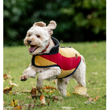 Manta polar Horseware Newmarket para perro Oro blanco