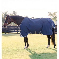 Manta de exterior Horseware Rhino 250g para caballo