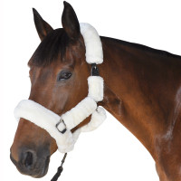 Cabezada De Cuadra Trasporte Canter Gris