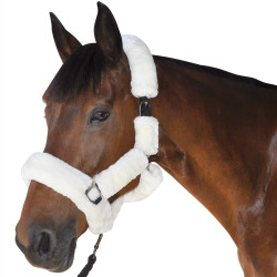 Cabezada De Cuadra Trasporte Canter Natural Marrón