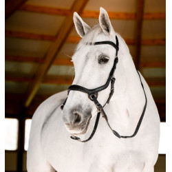 Brida sin bocado Horseware Micklem Negro