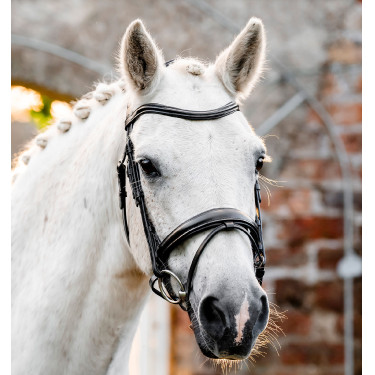 Brida pony Horseware Flash – brida de equitación