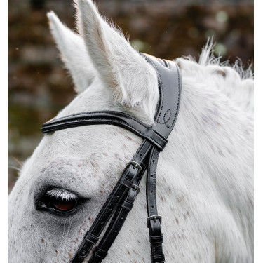 Brida pony Horseware Flash – brida de equitación