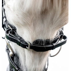 Brida pony Horseware Flash – brida de equitación