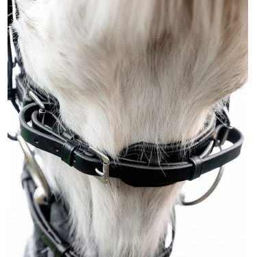 Brida pony Horseware Flash – brida de equitación