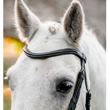 Brida pony Horseware Flash – brida de equitación