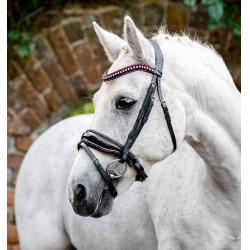 Brida para poni Horseware Diamante Flash Negro / rosa