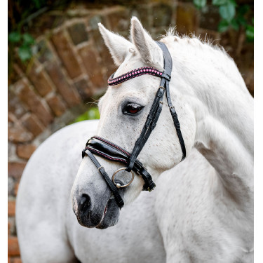 Brida para poni Horseware Diamante Flash Negro / rosa