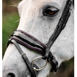 Brida de equitación para poni Horseware Diamante Flash