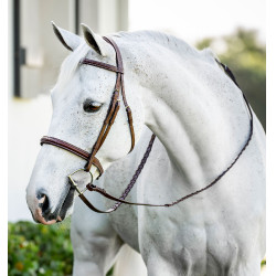 Brida de equitación poni Hunter con riendas Horseware