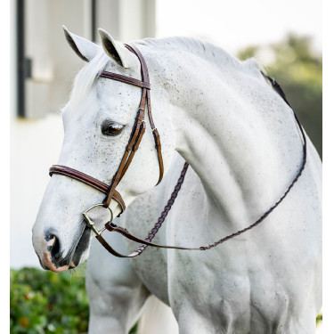 Brida de equitación poni Hunter con riendas Horseware