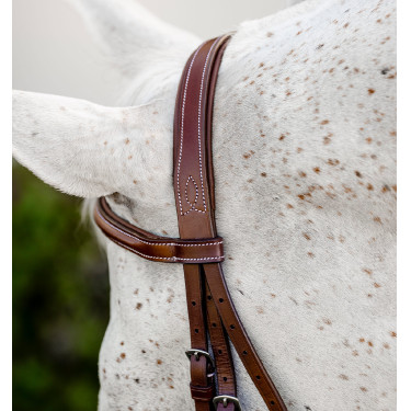 Brida de equitación poni Hunter con riendas Horseware