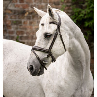 Brida pony Horseware Cavesón Negro