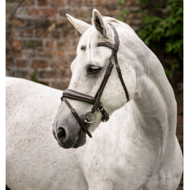 Brida pony Horseware Cavesón Castaño Marrón Brida pony Horseware Cavesón Castaño Marrón