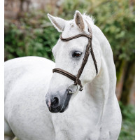 Brida pony Horseware Cavesón Negro