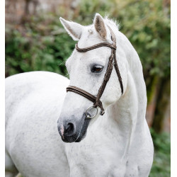 Brida pony Horseware Cavesón Castaño Marrón Brida pony Horseware Cavesón Castaño Marrón