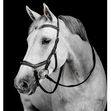 Brida Horseware Micklem Deluxe Competition Negro