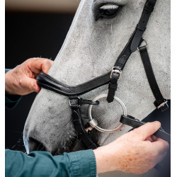Brida Horseware Micklem Deluxe Competition Negro