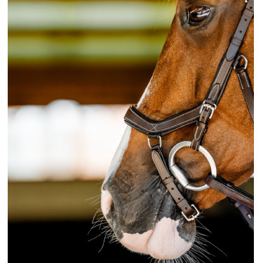 Brida Horseware Micklem Competition Havana oscuro Marrón Brida Horseware Micklem Competition Havana oscuro Marrón