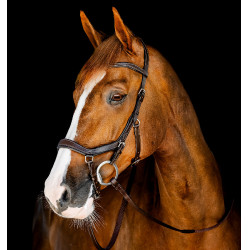 Brida Horseware Micklem Competition Havana oscuro Marrón Brida Horseware Micklem Competition Havana oscuro Marrón