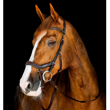 Brida Horseware Micklem Competition Havana oscuro Marrón Brida Horseware Micklem Competition Havana oscuro Marrón