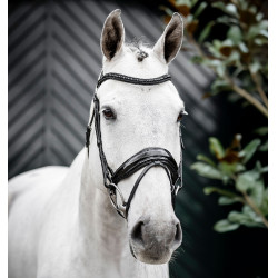 Brida Horseware Diamante Flash Negro / negro